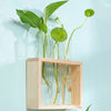 A wooden planter box holds glass test tube vases with green plants growing in water.