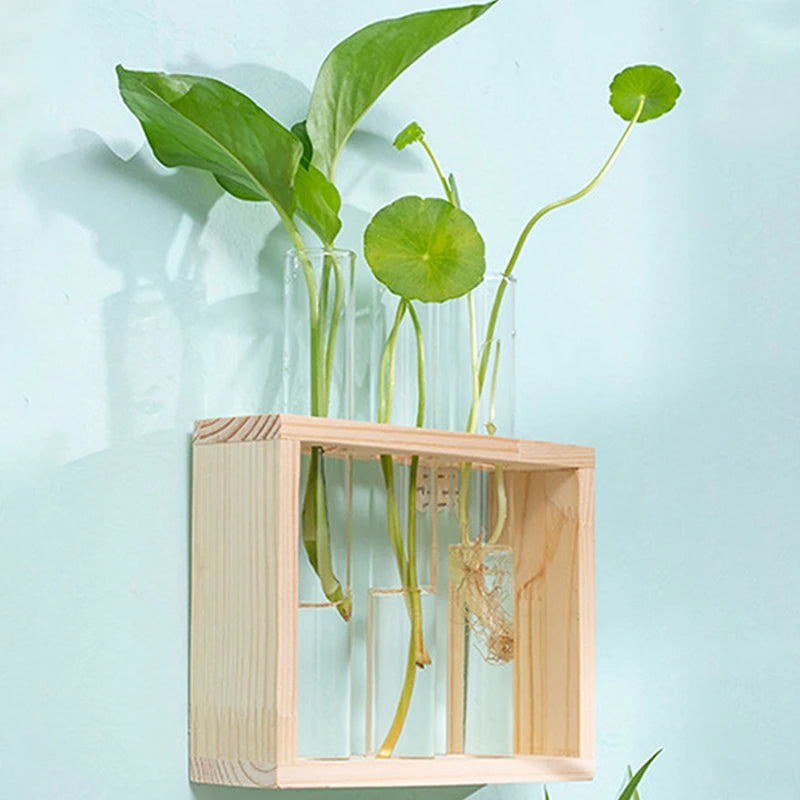 A wooden planter box holds glass test tube vases with green plants growing in water.