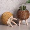 A rustic rattan planter with a cactus sits on wooden legs against a light background.