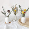 A white ceramic mini flower vase holds dried greenery and feathery plumes on a light linen surface.