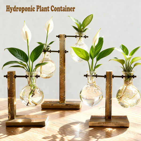A hydroponic plant container featuring a white orchid growing in a glass vase on a wooden stand.