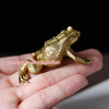 A brass money frog feng shui figurine is held in a person's hand against a dark background.