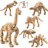 A set of twelve prehistoric dinosaur skeletons for kids to dig and build