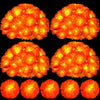 A set of bright orange LED marigold string lights arranged in various clusters and patterns.