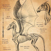 A detailed sketch of a mythical beast, possibly a dragon or winged creature, with intricate scales and features.