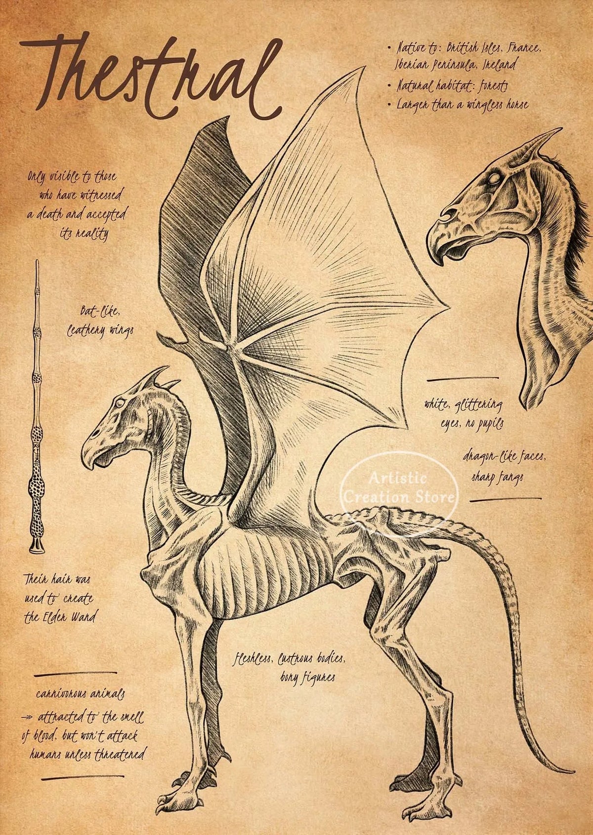 A detailed sketch of a mythical beast, possibly a dragon or winged creature, with intricate scales and features.