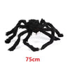A large, black plush spider decoration used for Halloween.