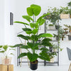 A large, lush artificial green tree with broad leaves displayed in a black pot on a shelving unit.