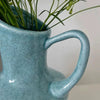A light blue ceramic pitcher holding green foliage.