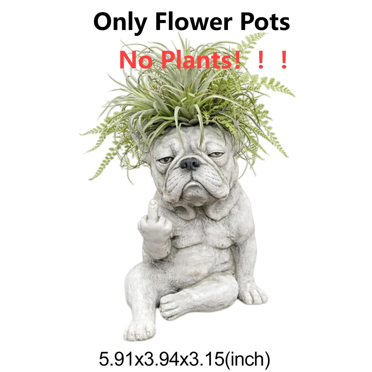 Un pot en résine gris en forme de bouledogue français avec du feuillage vert poussant de sa tête.