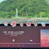 A close-up of a dashboard featuring pink and white 3D peach blossom ornaments.