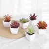 A set of mini artificial succulent decorations in various shades of green and red potted in white ceramic cups.