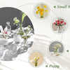 A diagram showing various floral elements like small stem flowers, clippings, daisy, and poppy, illustrated with glass vases.