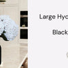 A large cluster of white hydrangeas flowers displayed in a matte black vase on a light surface.