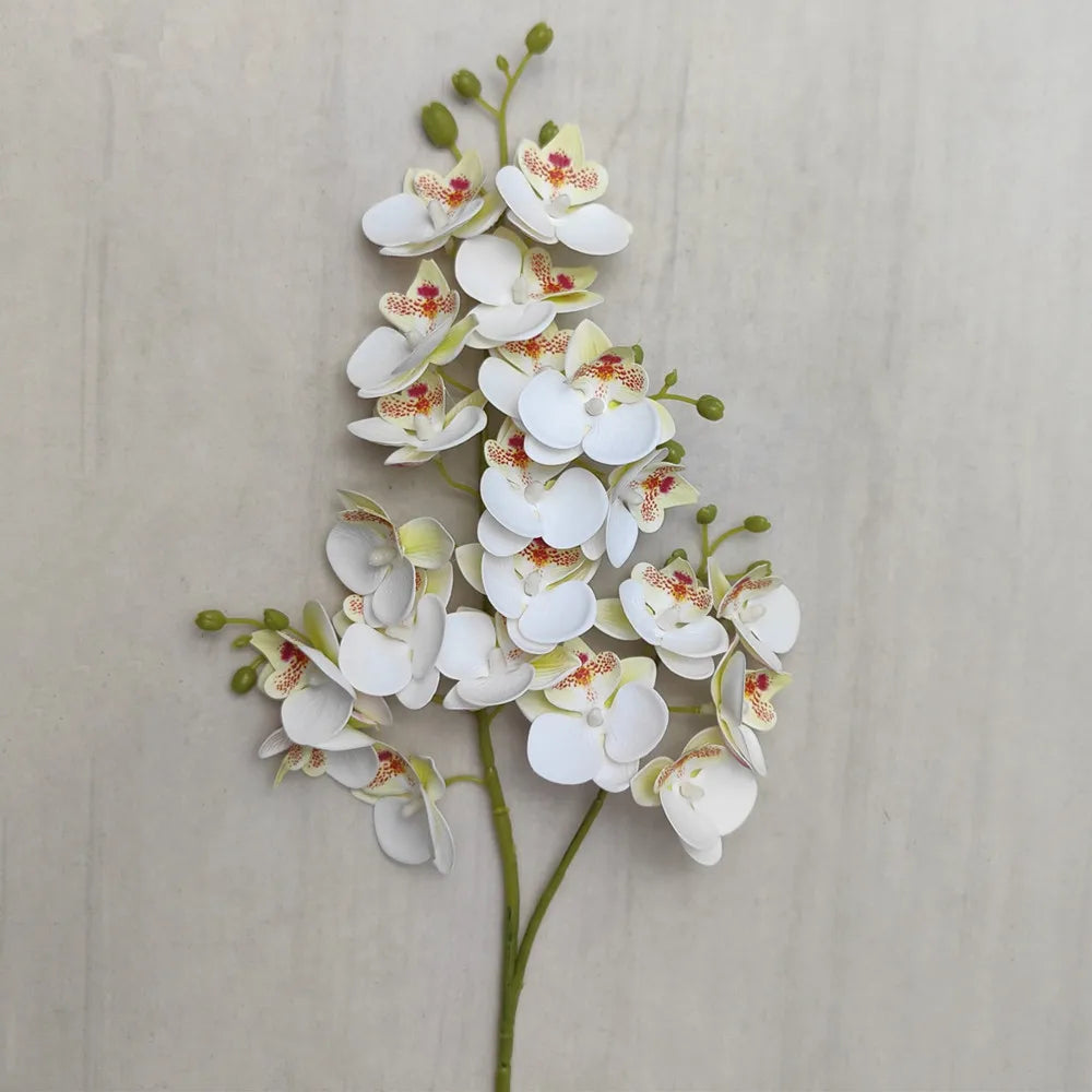 A stem of Lifelike Butterfly Orchid with 21 white and reddish-pink blooms against a light background.