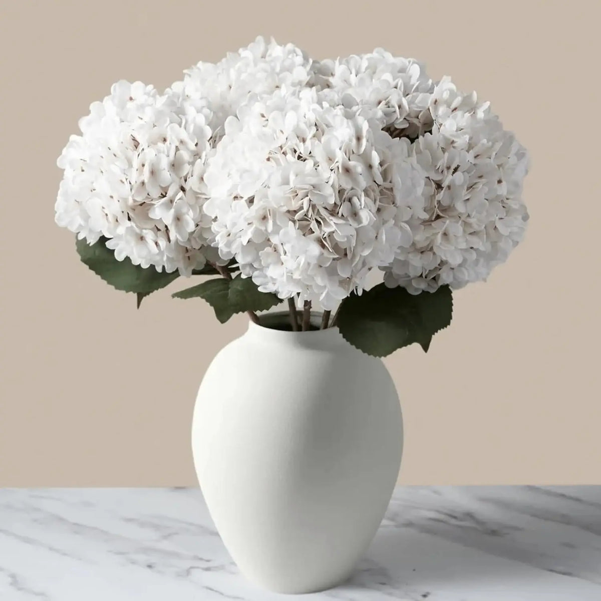A white ceramic vase holds a large, fluffy white hydrangeas flower arrangement.