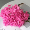 A dense cluster of vibrant pink dried hydrangea florets used for home decor.
