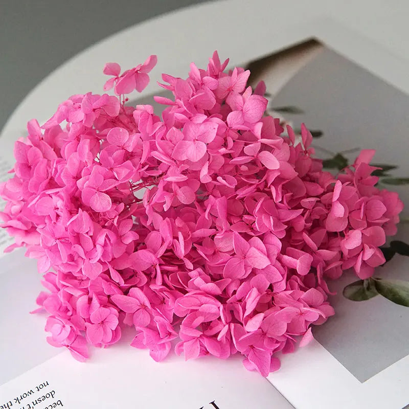 A dense cluster of vibrant pink dried hydrangea florets used for home decor.