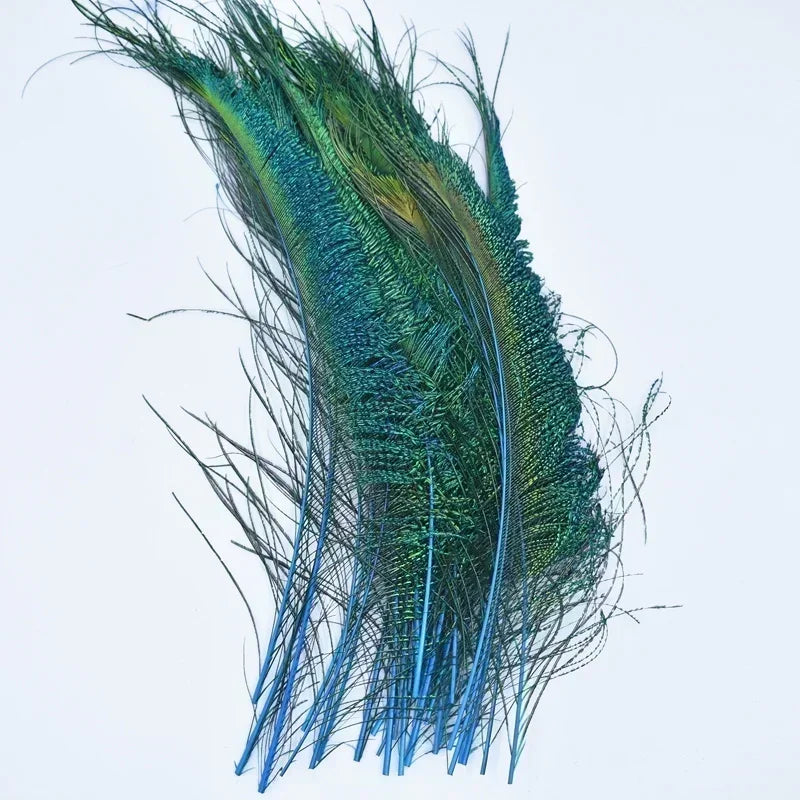 A close-up of a bundle of vibrant green and blue peacock feathers.