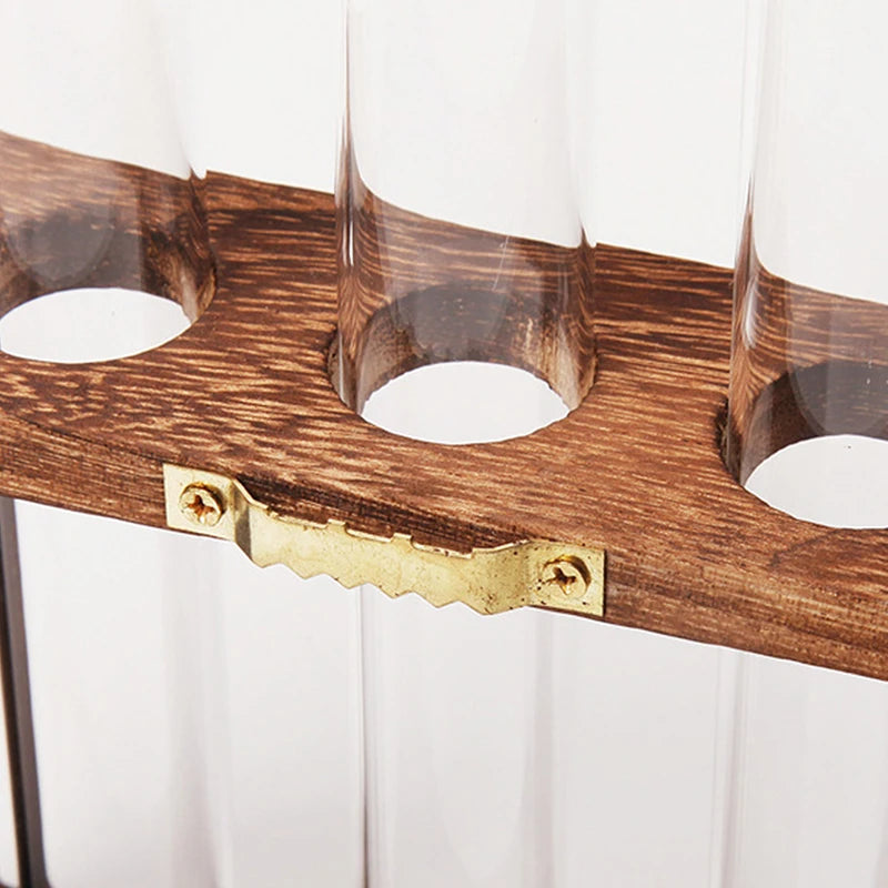 A wooden planter rack holds several glass test tube-shaped vases for hydroponic growing.