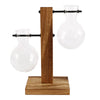 A clear glass hydroponic terrarium vase is displayed on a wooden stand.