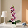 A potted purple orchid plant with green leaves sits next to a white lamp on a table.