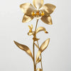 Una sola flor de orquídea dorada con tallo y hojas contra un fondo claro.