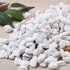 Natural White Decorative Pebbles for Aquariums, Plants & Home Decor