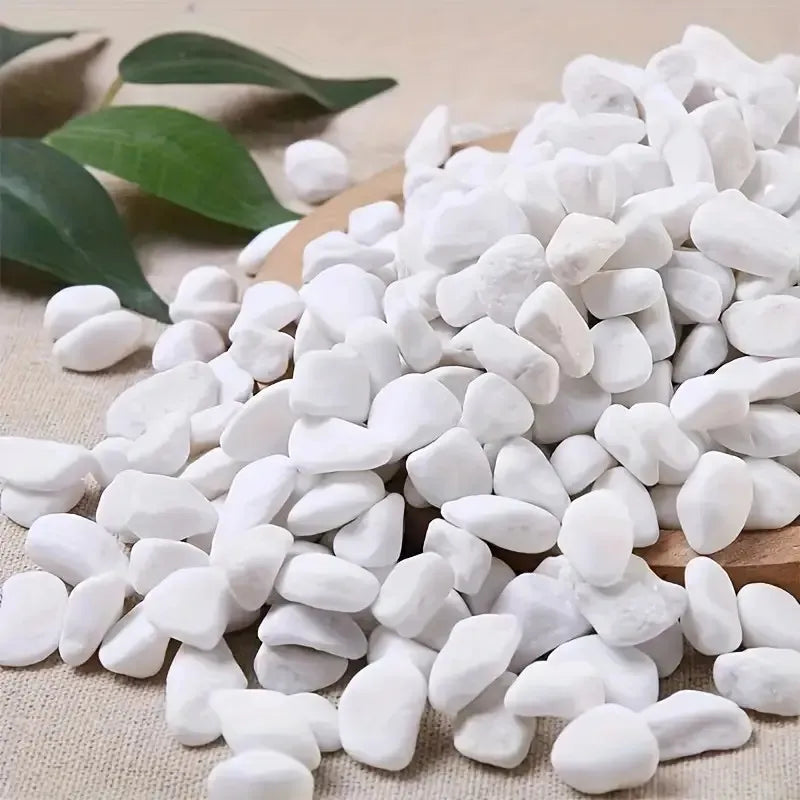 Natural White Decorative Pebbles for Aquariums, Plants & Home Decor