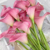 A bouquet of five pink calla lily stems with green leaves displayed in white wrapping.