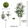 A full-sized artificial olive tree shown standing without a pot, with components for assembly.