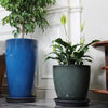 A large, vibrant blue resin planter holding a green Monstera plant on a dark saucer.