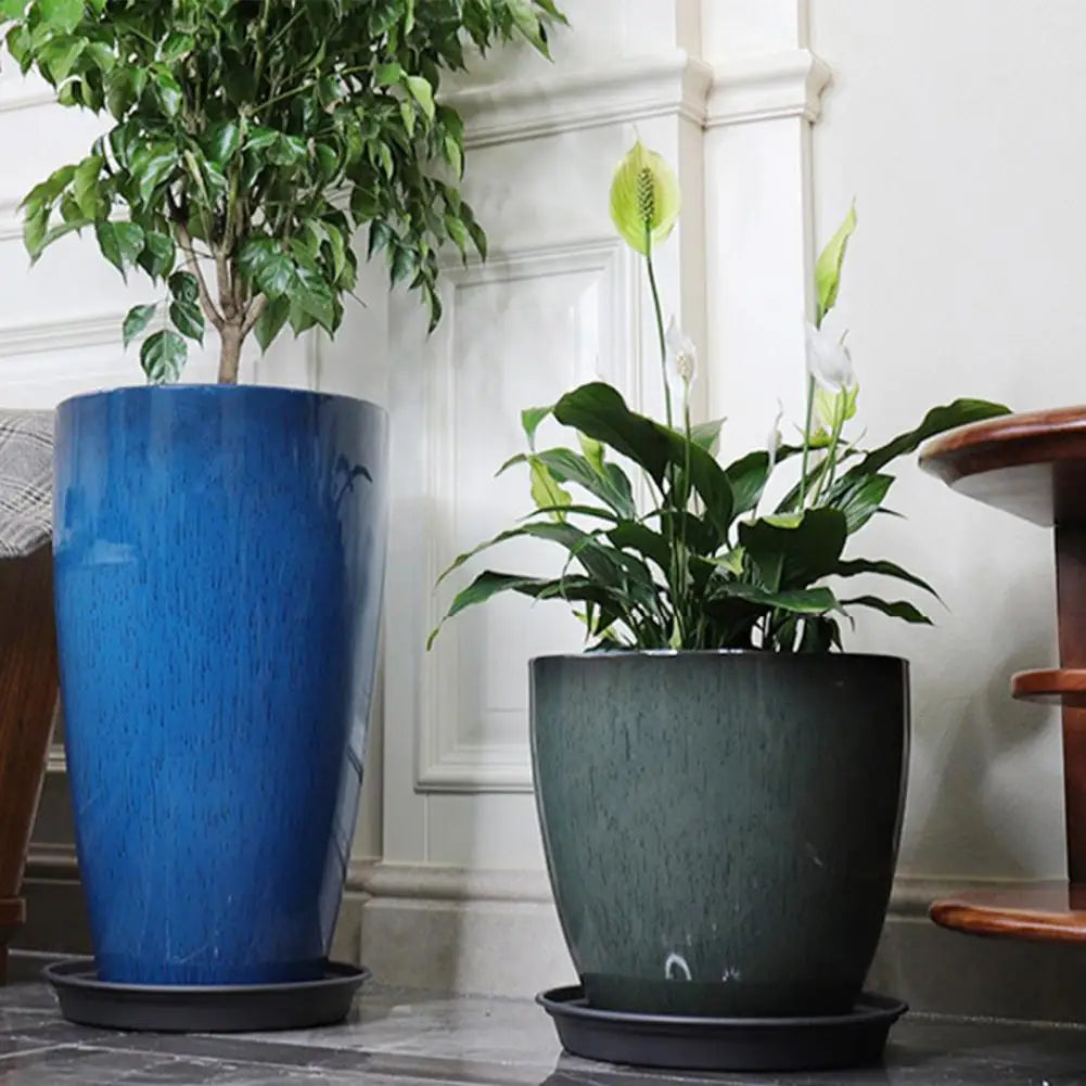 A large, vibrant blue resin planter holding a green Monstera plant on a dark saucer.