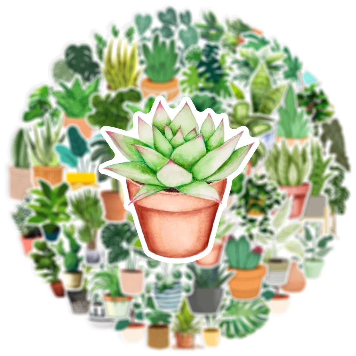 A circular arrangement of various potted succulent plants and greenery.