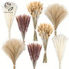 Collection d'arrangements floraux de pampas séchés dans des tons beige, brun et violet.