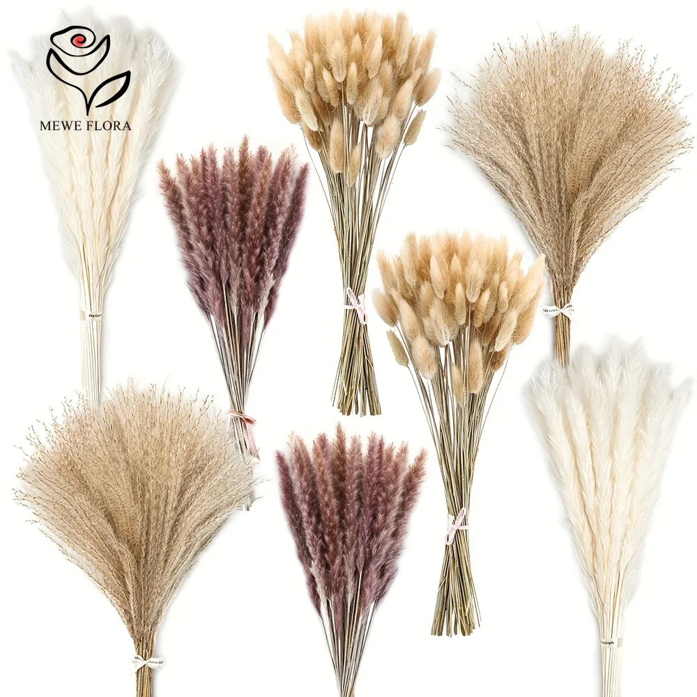 Collection d'arrangements floraux de pampas séchés dans des tons beige, brun et violet.