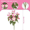A plant featuring pink and white petunia flowers on green vines, shown with details of petal textures, leaves, and stem struc