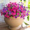A vibrant bouquet of artificial flowers in shades of purple and pink arranged in a beige urn on a wooden porch.