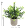 A potted green rosemary plant in a rustic gray pot, measuring 24cm high.