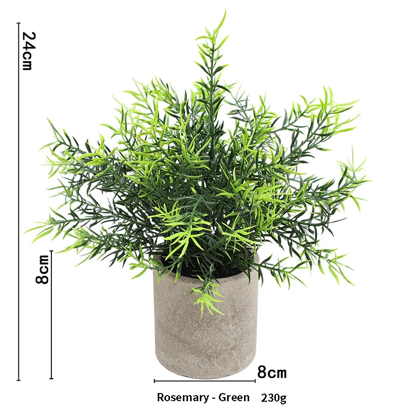 A potted green rosemary plant in a rustic gray pot, measuring 24cm high.