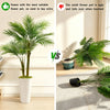Comparison showing a large artificial areca palm tree in a white pot versus a small flower pot that falls over.