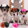 Un groupe de trois chiens portant des chapeaux de cowgirl Western miniatures de différentes couleurs