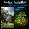 A pair of solar garden lights with a starburst effect illuminating plants during daytime and nighttime.