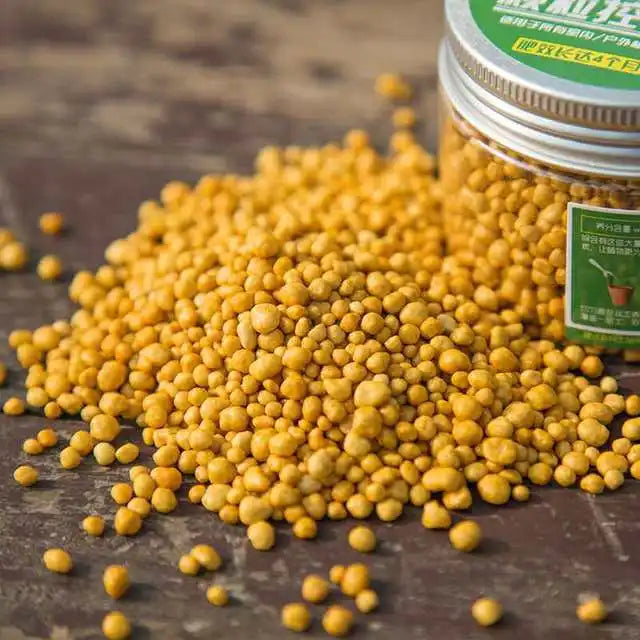A pile of yellow granular slow-release plant fertilizer is shown next to a jar.