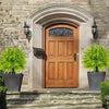 A wooden front door with an arched transom and decorative glass insert, flanked by potted green fern plants.