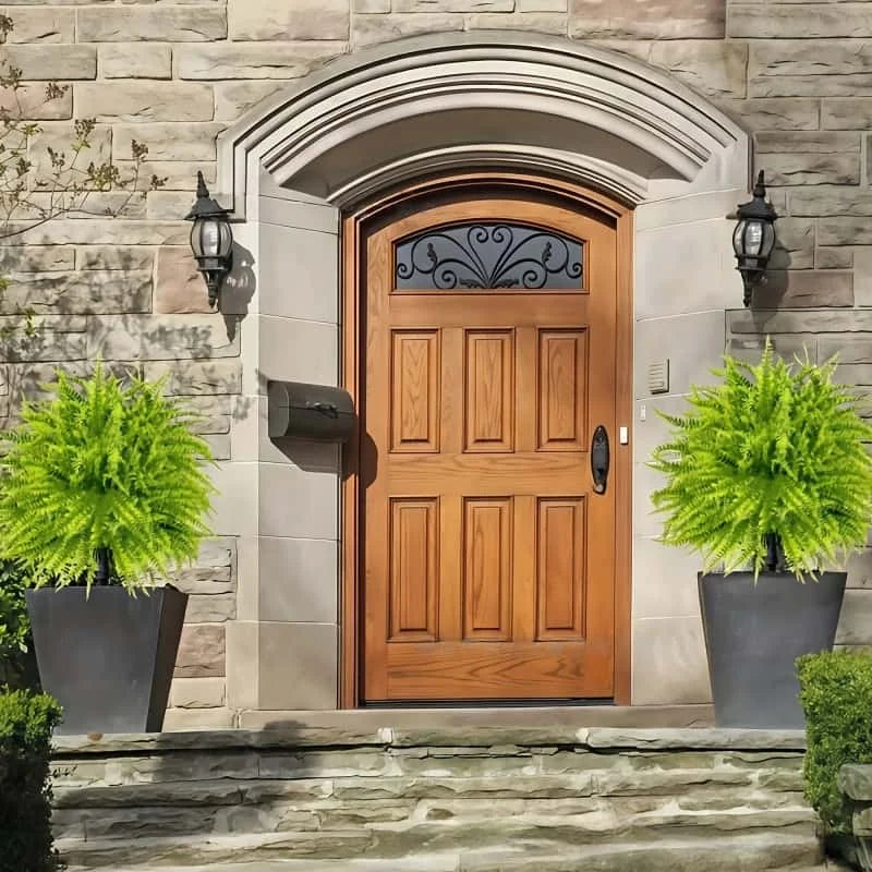 A wooden front door with an arched transom and decorative glass insert, flanked by potted green fern plants.