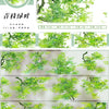 Ruban de masquage vert pour le jardinage et la décoration naturelle