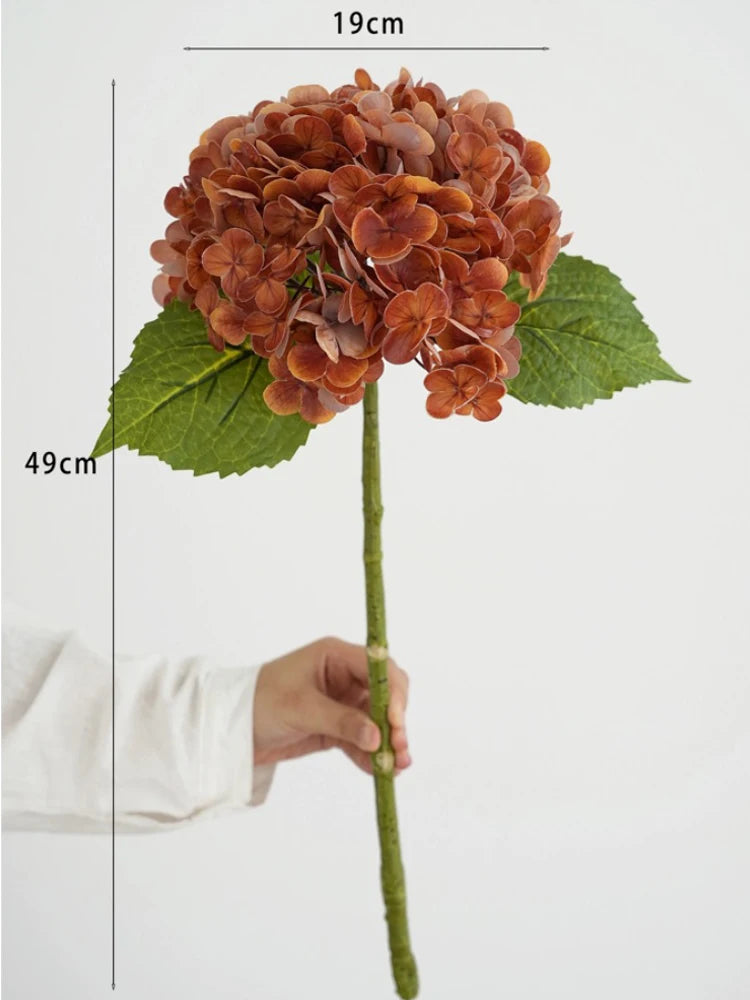 A brown hydrangea flower cluster on a green stem with leaves, shown against a white background.