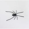Funny Spider Fridge Magnet Set