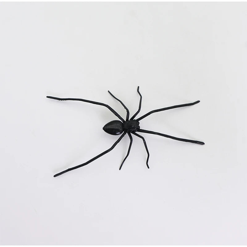 Funny Spider Fridge Magnet Set